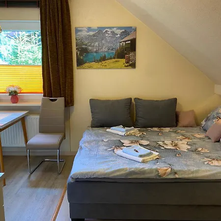 Apartament Birkenstuebchen Lautenthal Zewnętrze zdjęcie