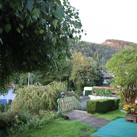 Apartament Birkenstuebchen Lautenthal Zewnętrze zdjęcie