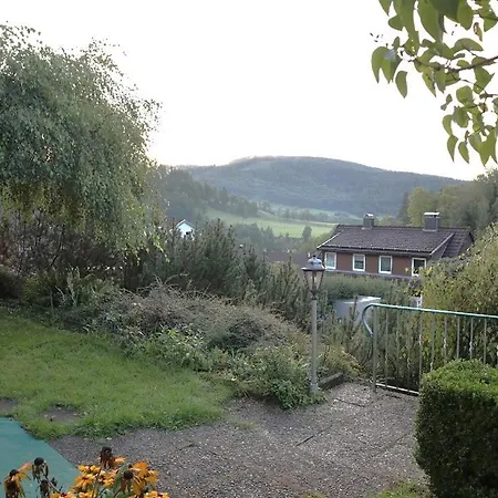 Apartament Birkenstuebchen Lautenthal Zewnętrze zdjęcie