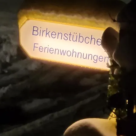 Apartament Birkenstuebchen Lautenthal Zewnętrze zdjęcie