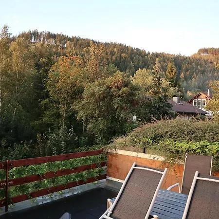Apartament Birkenstuebchen Lautenthal Zewnętrze zdjęcie