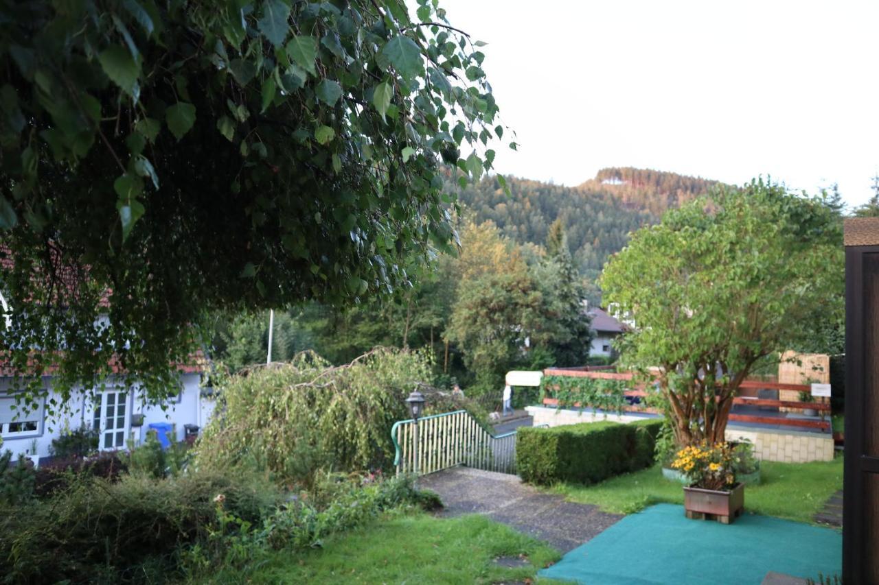 Apartment Birkenstuebchen Lautenthal