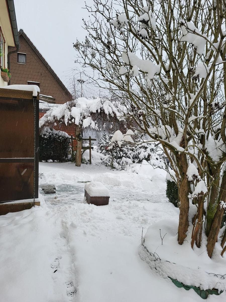 Birkenstuebchen * Lautenthal