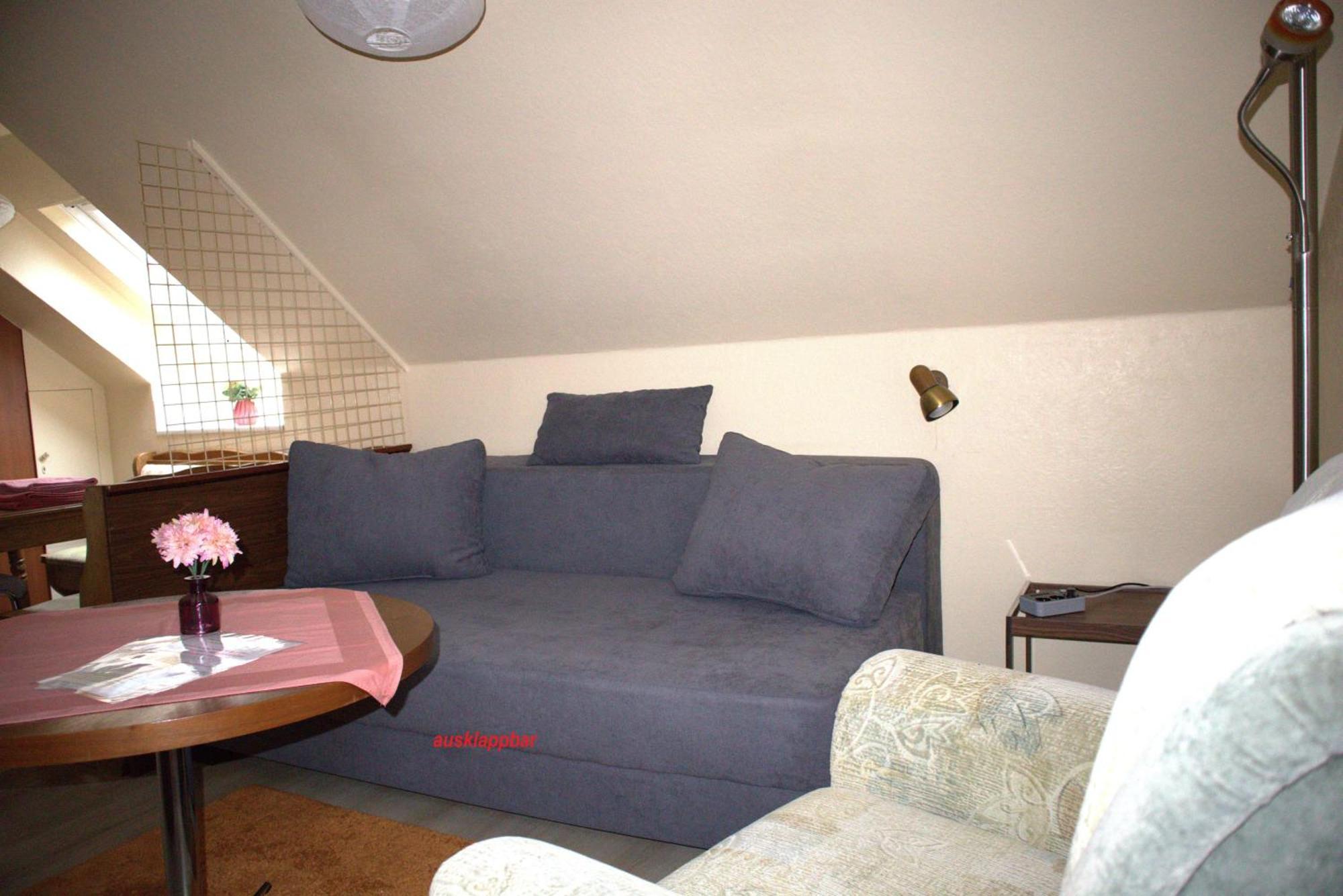 Birkenstuebchen Apartment Lautenthal